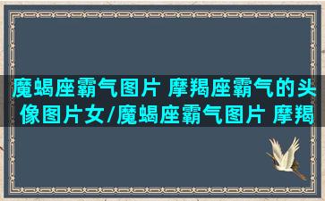 魔蝎座霸气图片 摩羯座霸气的头像图片女/魔蝎座霸气图片 摩羯座霸气的头像图片女-我的网站